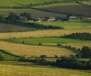 agri-environment